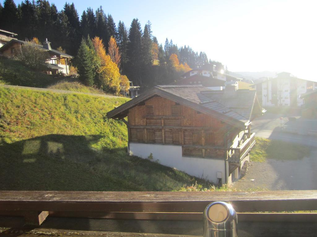 Les Gets Le Grand Paradis Номер фото